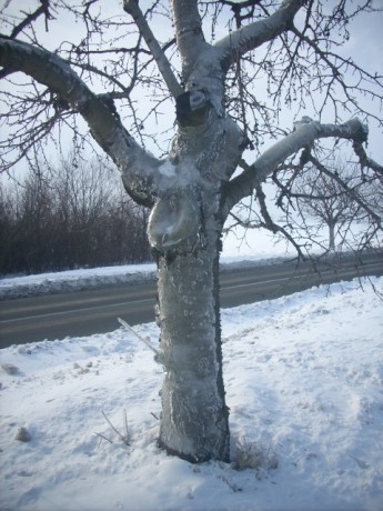 DSCN0797