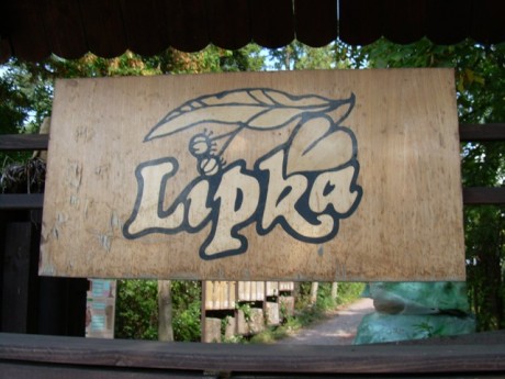 lipka