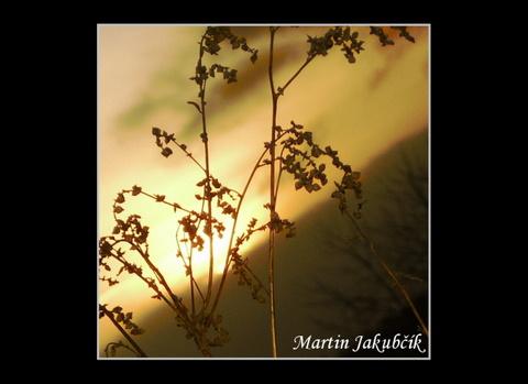 martin-jakubcik--8-