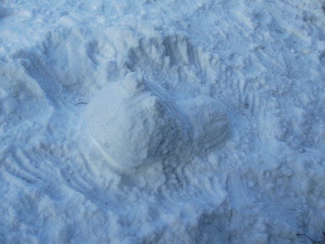 koÄ_ka