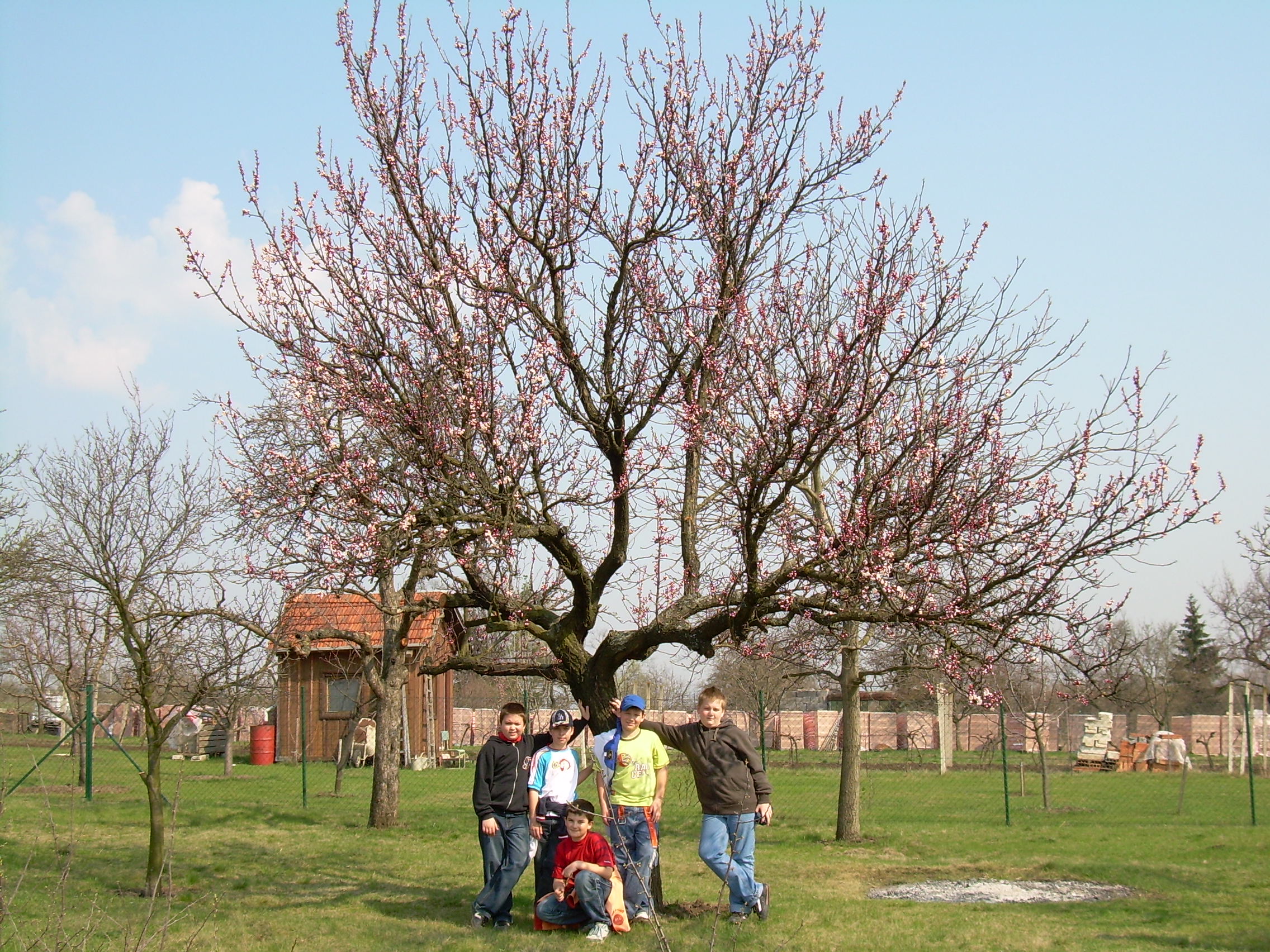 DSCN2662
