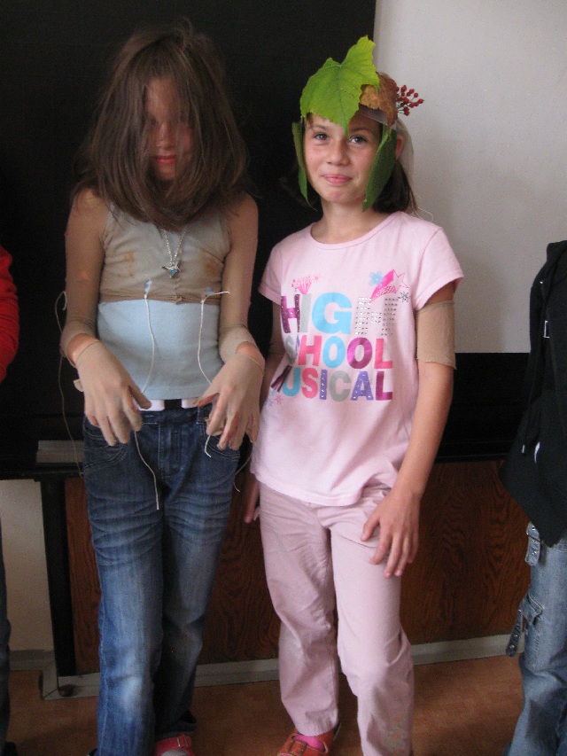 Lesní-Şínky