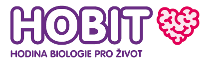 HOBIT-logo