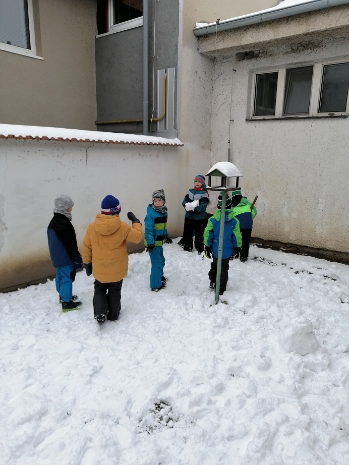 IMG_20221216_110110
